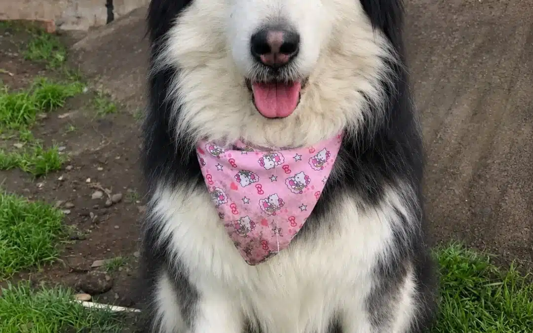 ALASKA